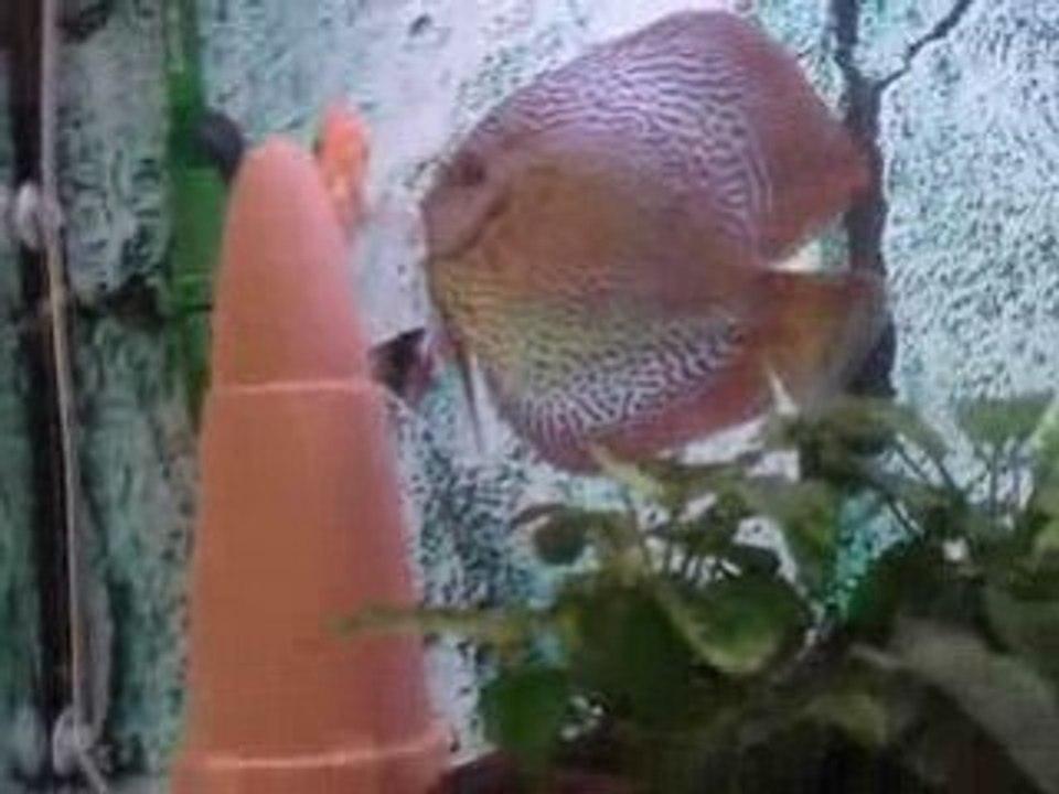MOV02622