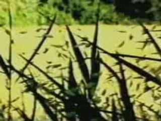 Philippe chabert mal au coeur