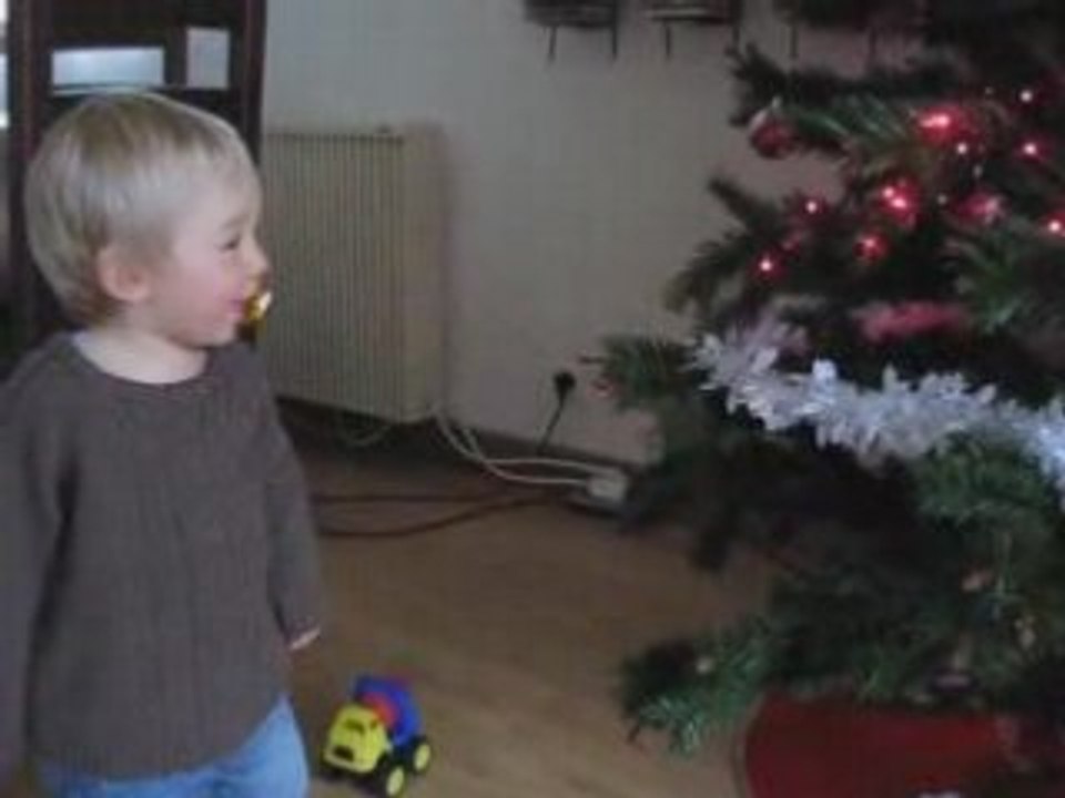 Antoine découvre le sapin