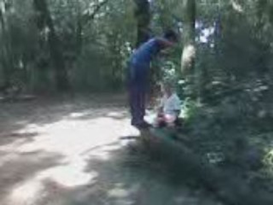 ptit salto de alex