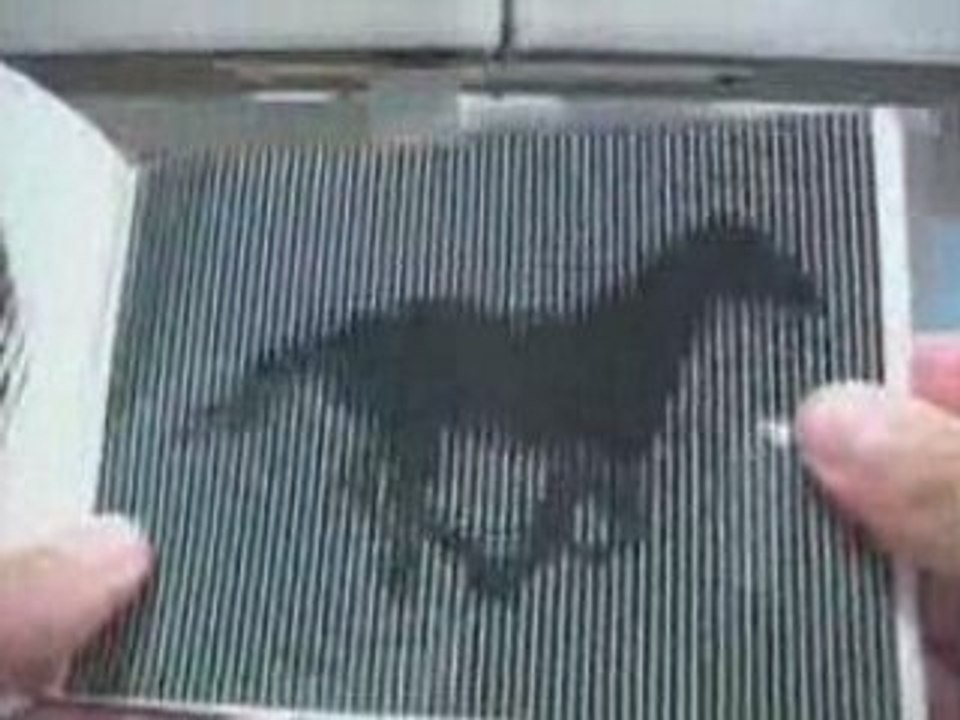 Illusion
