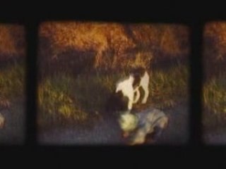 M83 - Fields shorelines and hunters