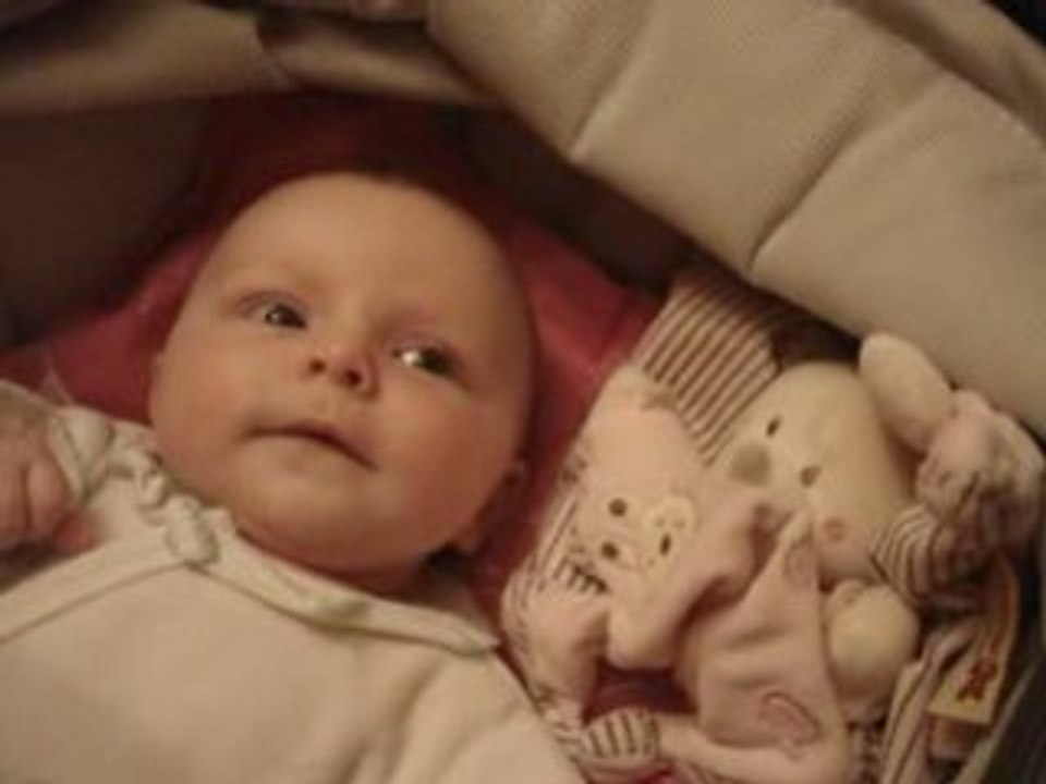 14 novembre 2008