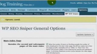 WP SEO Sniper for Professional WordPress SEO