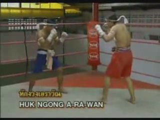 Muay Thai techniques