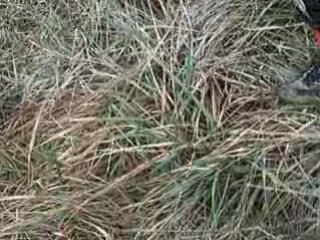 CROSS DEMIGNY TERRAIN TREMPé