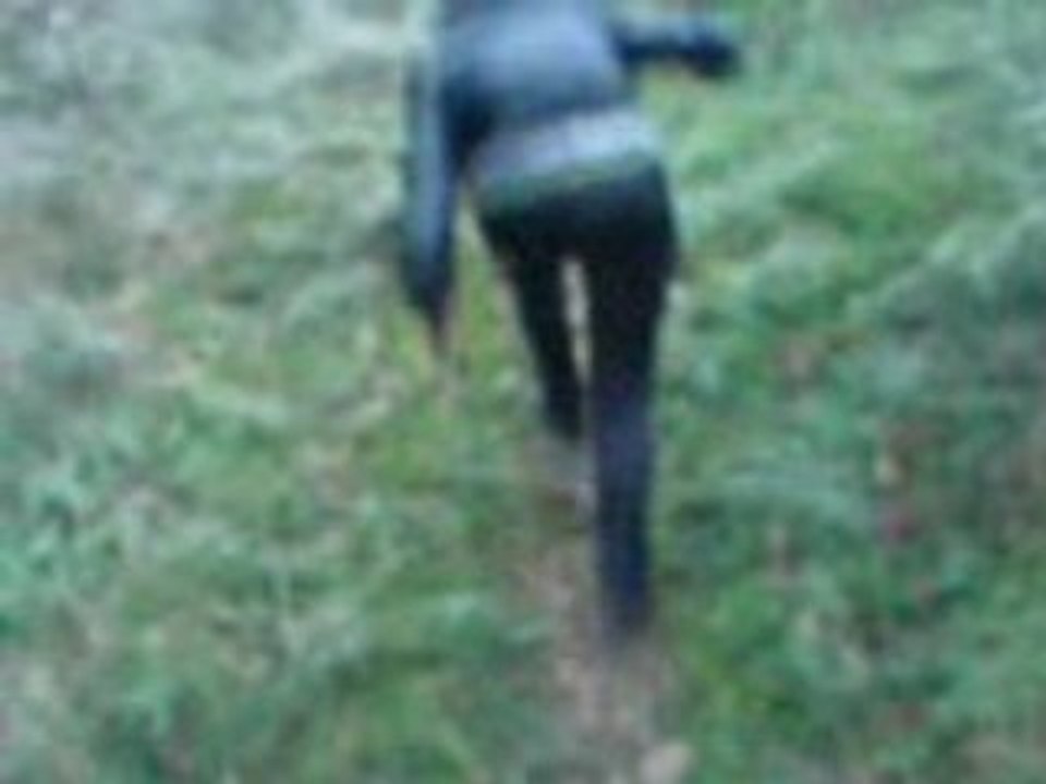 MOV00013
