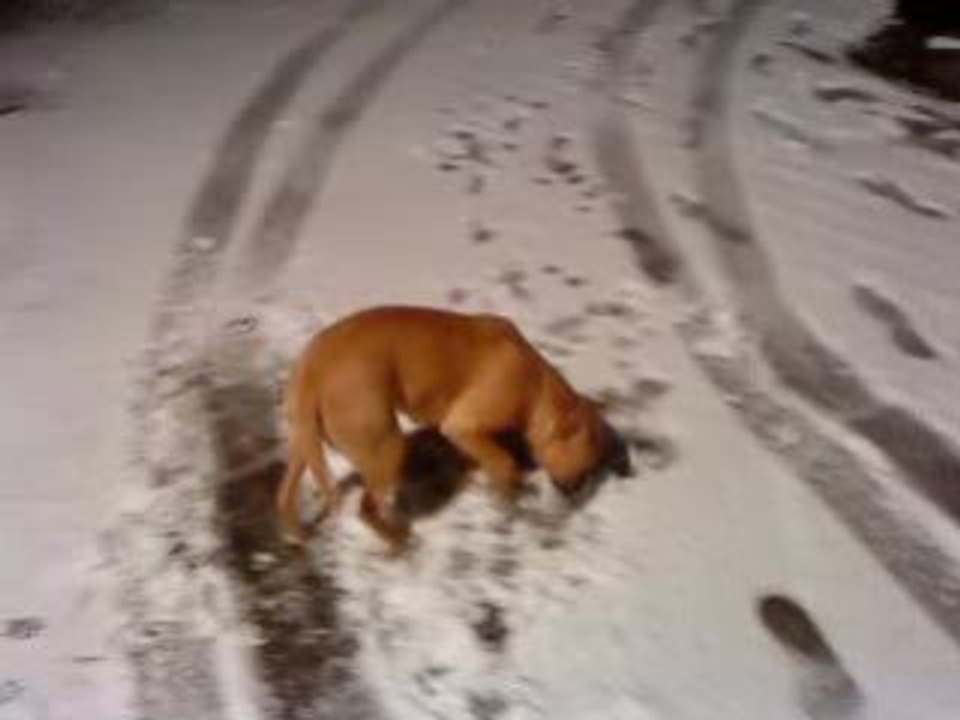 Neige 1