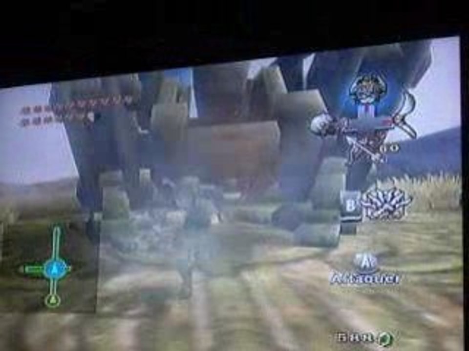 Zelda bug