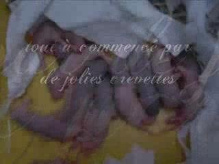 ne vous n'aime mes loulous
