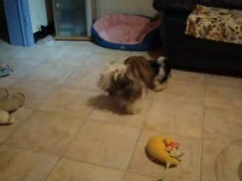 Vidéo 076