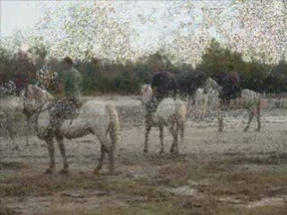 Cma2_0001
