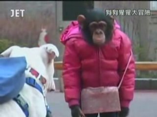 Pan et James : Oups ! James, mon saaaaac !