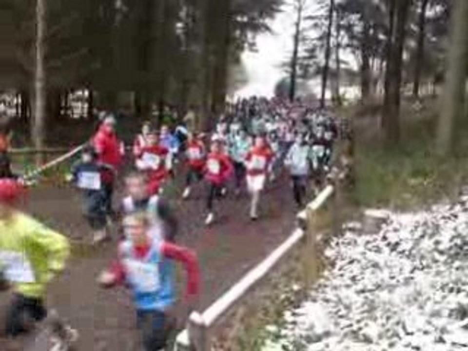 Cross Volvic