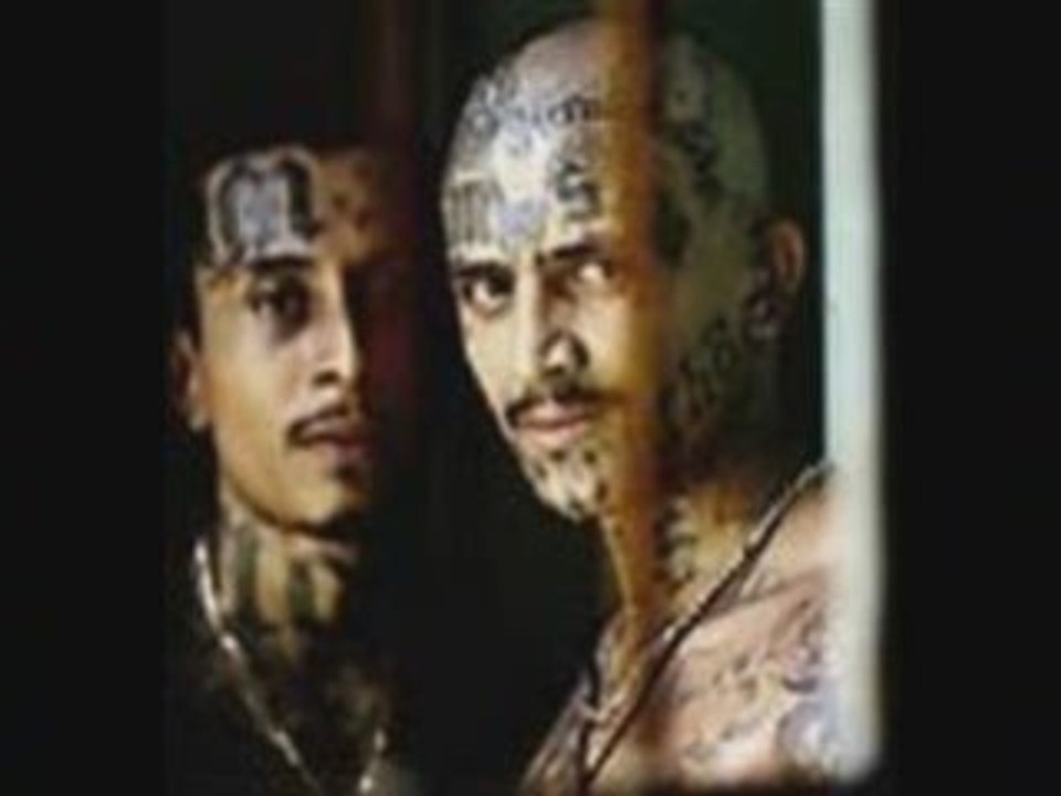 MS-13 gangsters