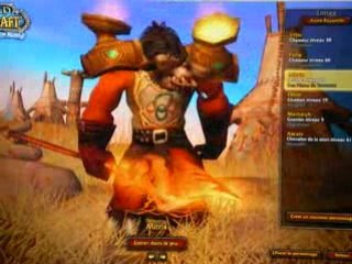 Mes persos sur wow