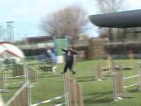 AGILITY JUMPING SELECTIF GPF LAON 2008