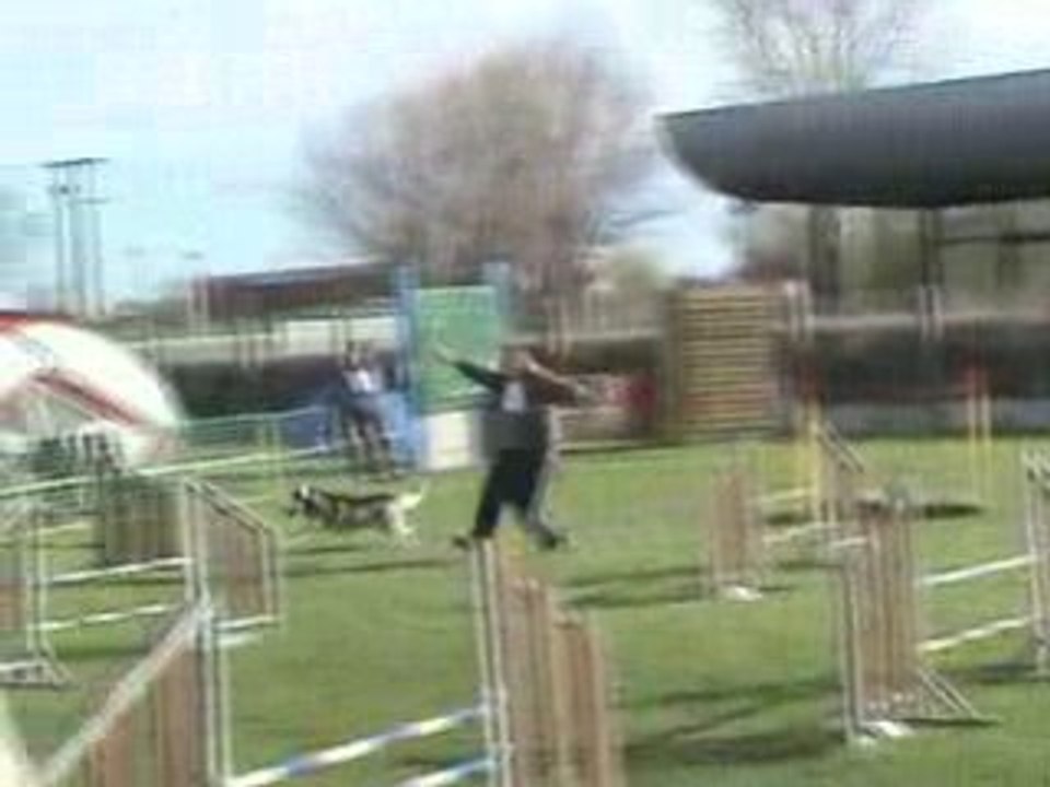 AGILITY JUMPING SELECTIF GPF LAON 2008