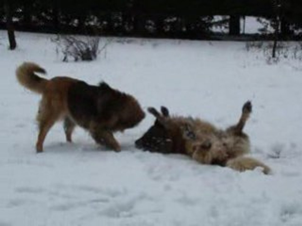 Vidéo 28 Novembre 2008 003