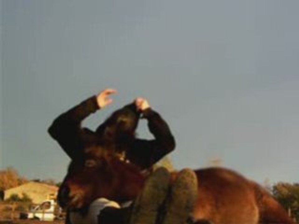 Tango et moi, câlin dans la carrière =)