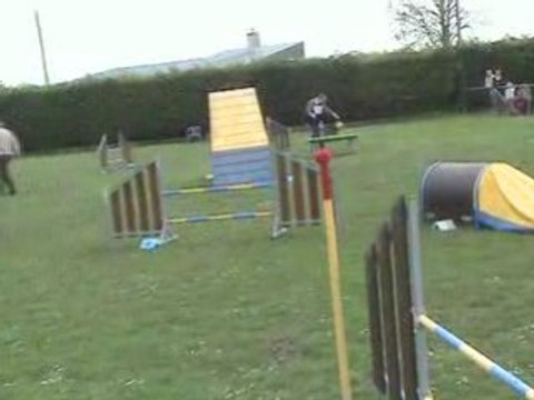 AGILITY SELECTIF GRAND PRIX DE FRANCE LAON 2008