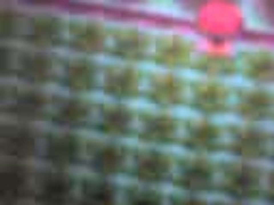 29-11-08_0138