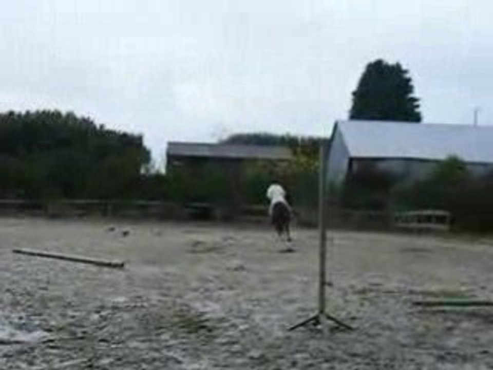 le 29 novembre 2008