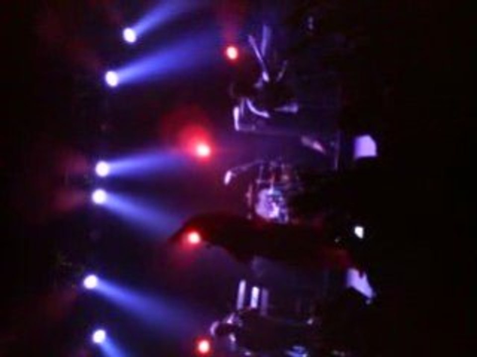 capleton @ montpellier 2008