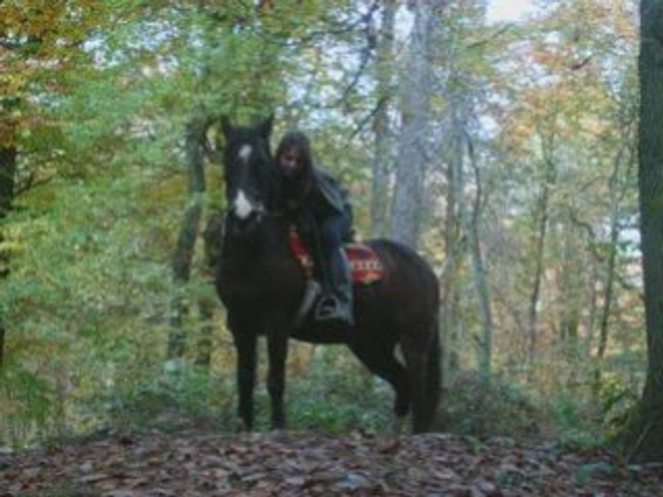 Sultan , mOn poneyy , ma Viie