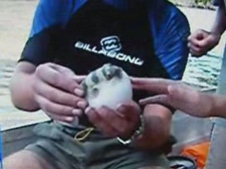 Pêche en coque alu sur un fleuve de guyane