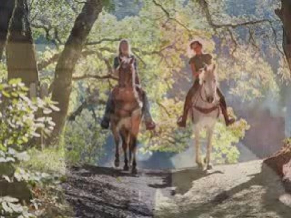 bedding for horses
