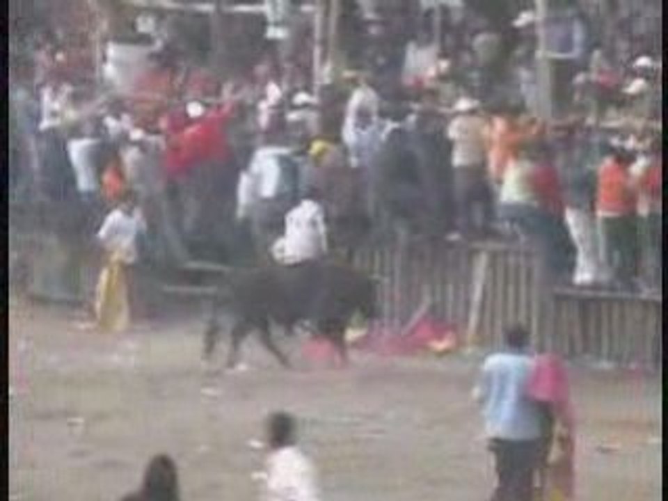 Machachi toros