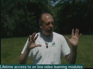 Reiki Regina - Reiki Saskatoon - Reiki Certification