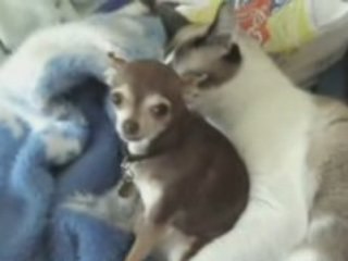 Just don't lick me there