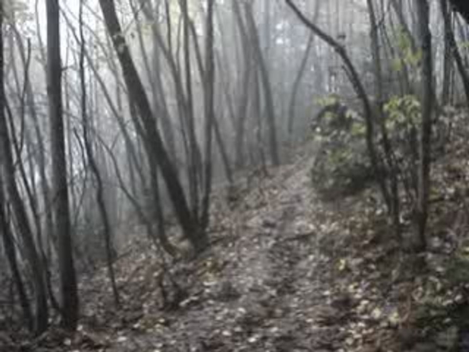 virage vtt