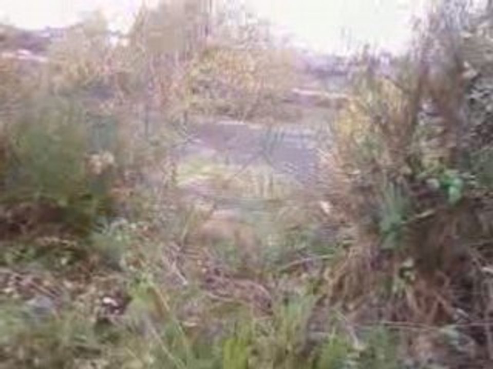 petite chute du damien en moto cross