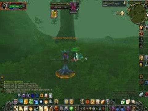 Wow 2008-12-01 00-28-49-48.avi