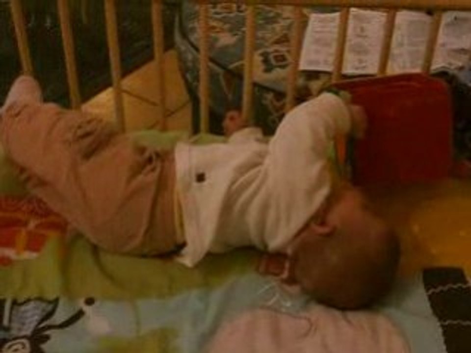 29 novembre 2008
