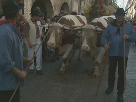 Retour des Alpages Annecy 2008 / 3