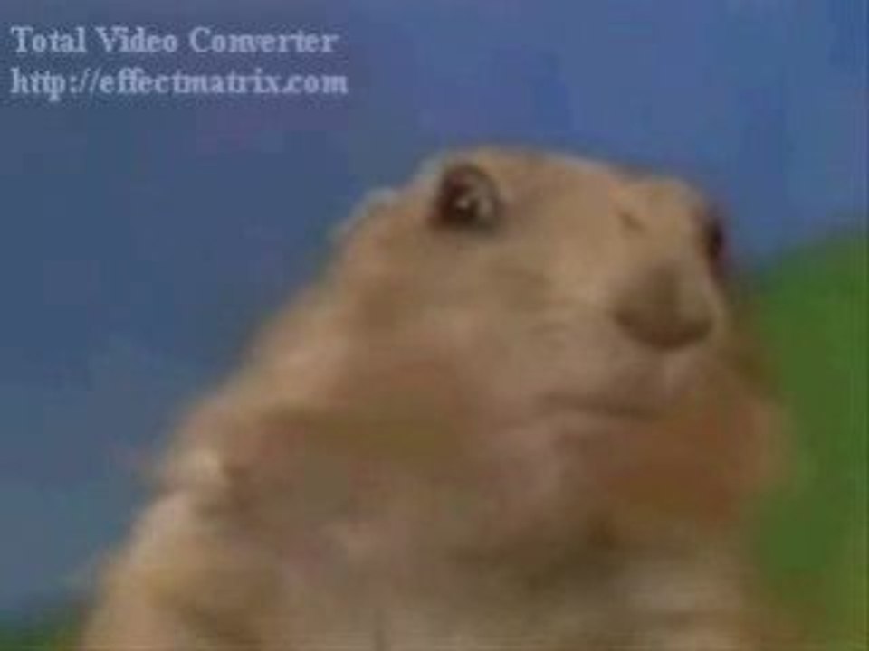 Farting McCain and the Dramatic Chipmunk