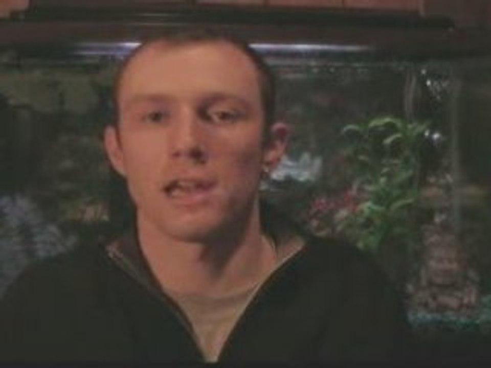 Spider Web Marketing System Spins Success