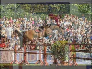 Chutes de cheval