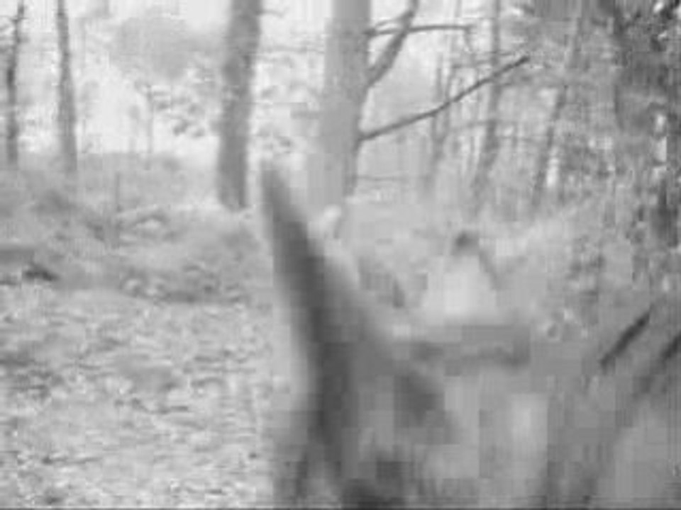 Balade 23 Novembre 2008