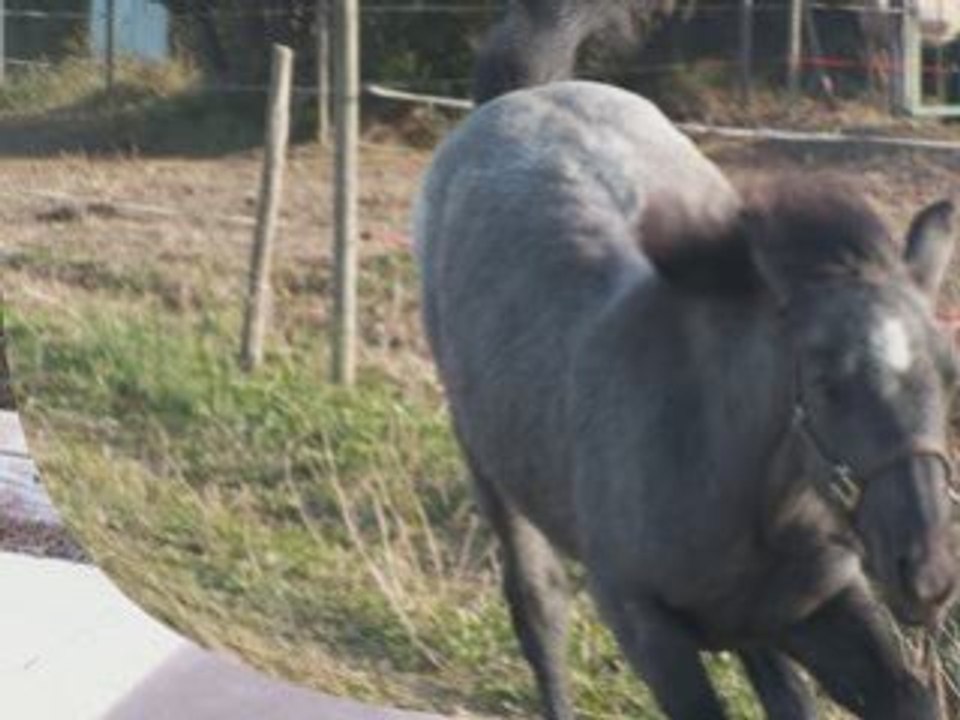 SansTitre