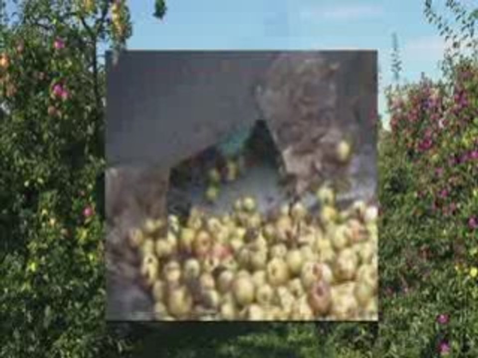 Pomm fich video 27 mo