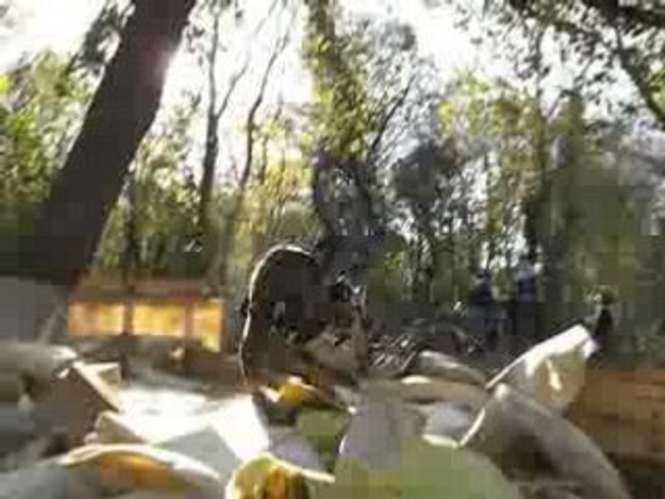 back flip