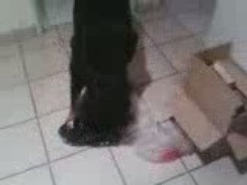 ma grOsse vache !! hiihii jl'aiime !!