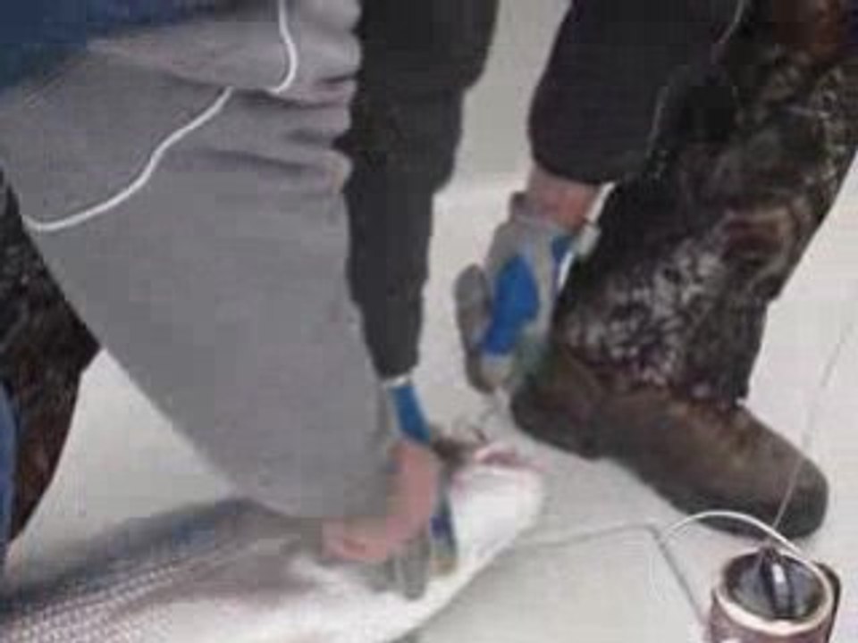 Jigging.fr