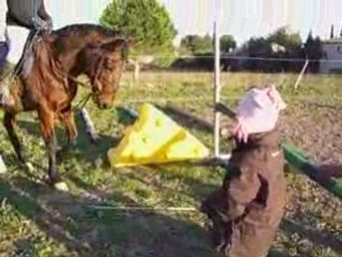LYDIANA 5ANS DONNE UN COURS DE CHEVAL A SABRINA 26ANS MDRRRR