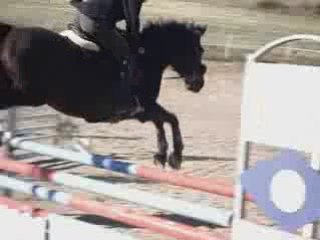 Joly Coeur, Hunter Régional